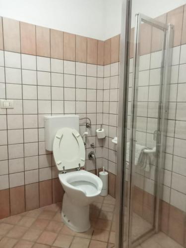 a bathroom with a toilet with a glass shower stall at Fattoria di Rigone in Coltavolino