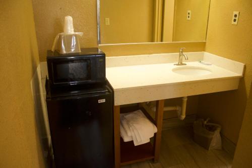 a bathroom with a sink and a counter with a microwave at Express INN in Norfolk