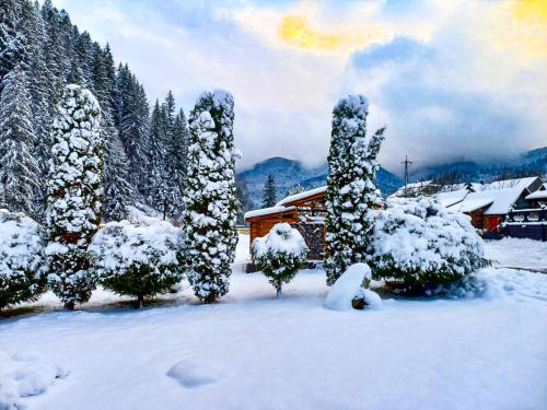 a snow covered yard with trees and a house at Forest House in Tatariv
