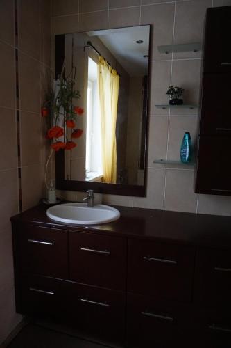 a bathroom with a sink and a mirror at Home for Guests Lakštingala in Šiauliai