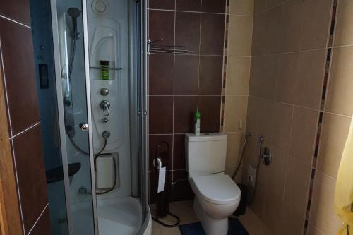 a small bathroom with a toilet and a shower at Home for Guests Lakštingala in Šiauliai