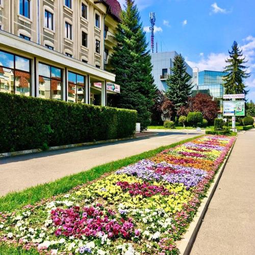a garden of flowers in front of a building at HOTEL MUNTENIA in Campina