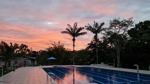 a swimming pool with palm trees and a sunset at Entreselvas Glamping in Quibdó