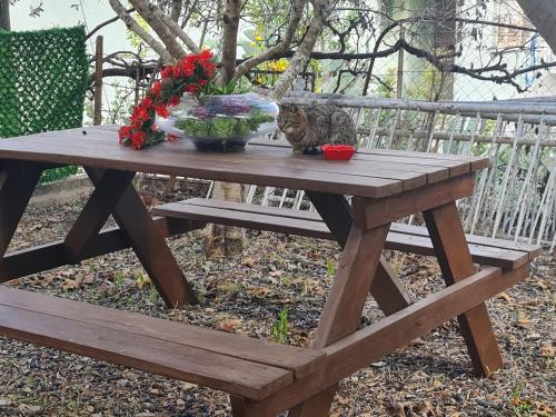 a wooden picnic table with a cat and flowers on it at SAMA Tarshiha in Ma'alot Tarshiha