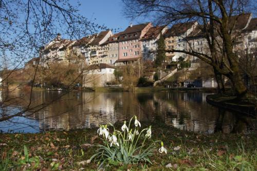 un edificio su una collina vicino a un corpo d'acqua di Bett am Weiher a Wil