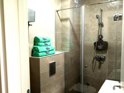 Koupelna v ubytování Apartman NINA Jezero