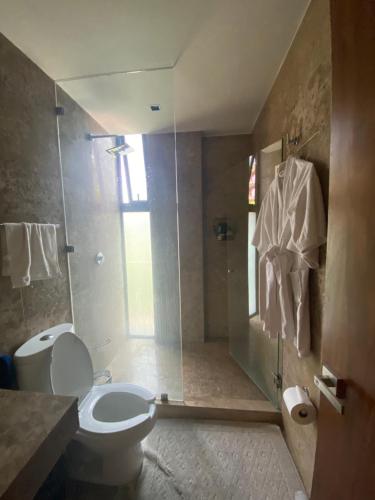 La salle de bains est pourvue de toilettes et d'une douche en verre. dans l'établissement Departamento para Ejecutivos en el Sur de la CDMX, à Mexico