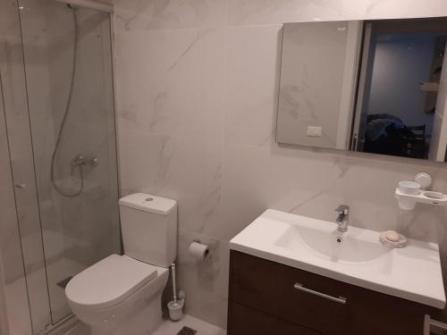 a bathroom with a toilet and a sink and a shower at La Salina Apartment Punta del Este in Punta del Este
