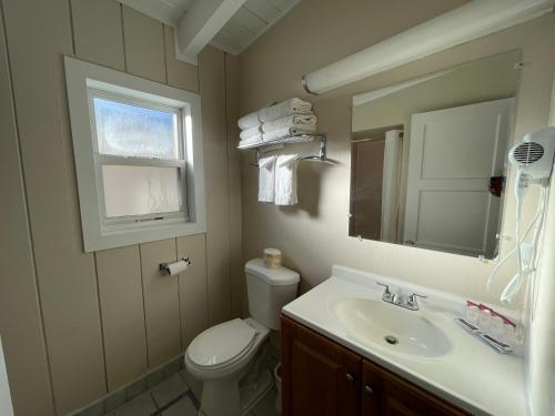a bathroom with a toilet and a sink and a mirror at Travel Inn in South Lake Tahoe