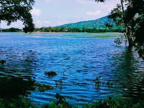 a view of a large body of water at Lake Front Yala Safari in Kataragama