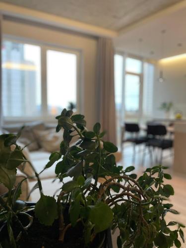 a potted plant sitting on a table in a living room at Arcadia in Odesa