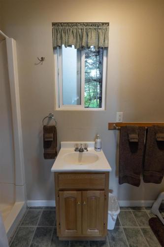 a bathroom with a sink and a window at Cabin 2 Lynn View Lodge in Haines