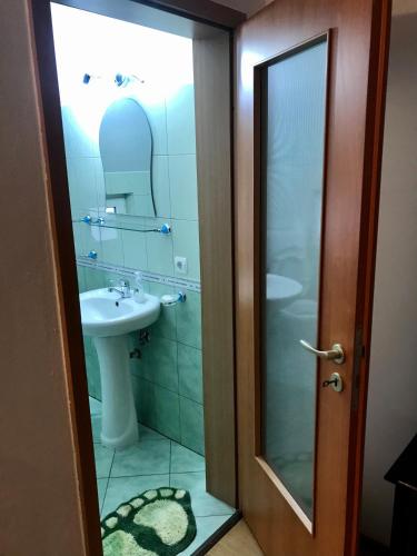a bathroom with a sink and a glass shower door at Pensiunea Morosanu in Borşa