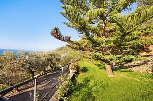 Casa Paradise – Photos 2