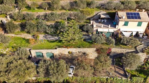 Casa Paradise