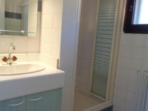 a bathroom with a sink and a shower at Gîte La Valla-en-Gier, 2 pièces, 3 personnes - FR-1-496-103 in La Valla-en Gier