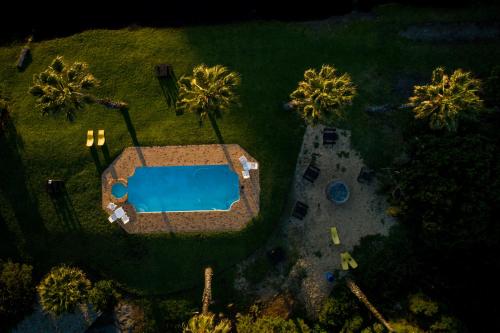 an overhead view of a swimming pool with palm trees at Fairy Knowe Hotel in Wilderness