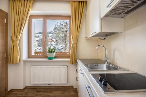 Kuchyň nebo kuchyňský kout v ubytování Runcac Apt Corn