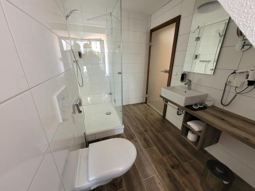 a bathroom with a toilet and a sink at Hotel zum ehem. königl. Bayr. Forsthaus in Waldsassen