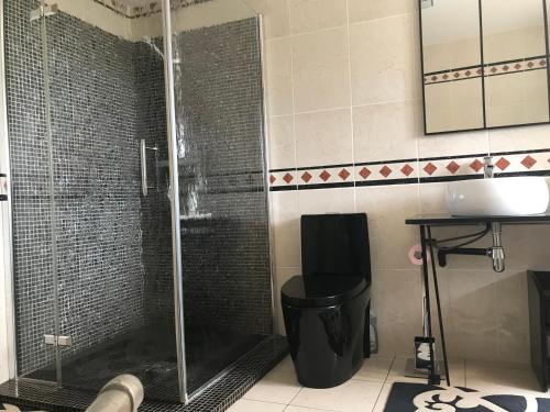 een badkamer met een douche, een toilet en een wastafel bij Bouzigues Suite Parentale Étang de Thau in Bouzigues