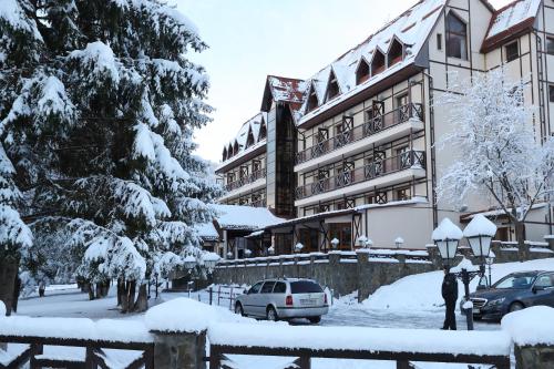 Gallery image of Edelweiss in Yaremche
