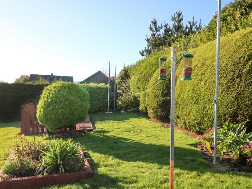 a garden with bushes and a fence with two bird feeders at Lavender Cottage in Castletownbere