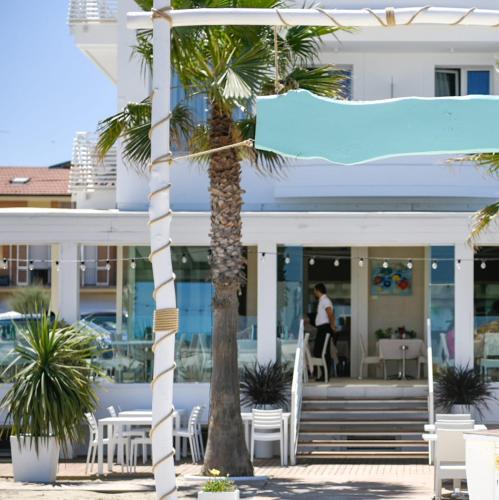 a palm tree in front of a building at Baldinini Hotel in Rimini