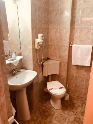 a small bathroom with a toilet and a sink at HOTEL MUNTENIA in Campina