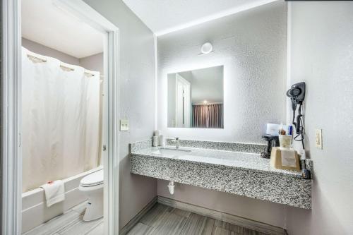 a bathroom with a sink and a toilet and a mirror at Econo Lodge Russellville in Russellville