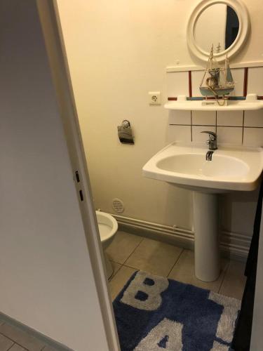 Hirson的住宿－La petite chambre sympa de Cindy，一间带水槽、镜子和卫生间的浴室