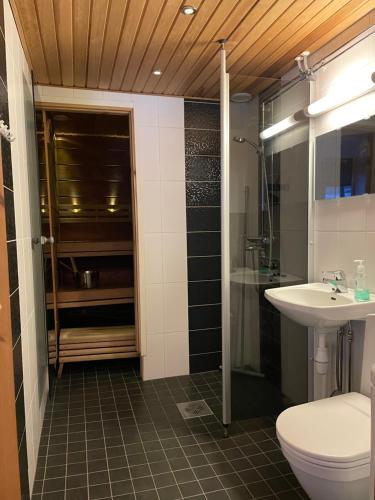 a bathroom with a toilet and a sink at Rukan Tähtihelmi Kelokivakka b12 in Ruka