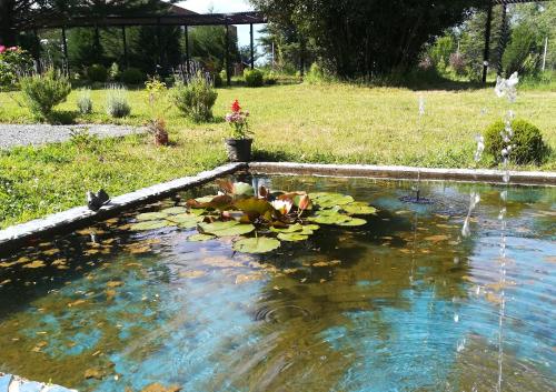 Jardín al aire libre en Entre-Nous