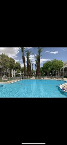 a large swimming pool with palm trees in the background at Top Royal Eilat רויאל פארק in Eilat