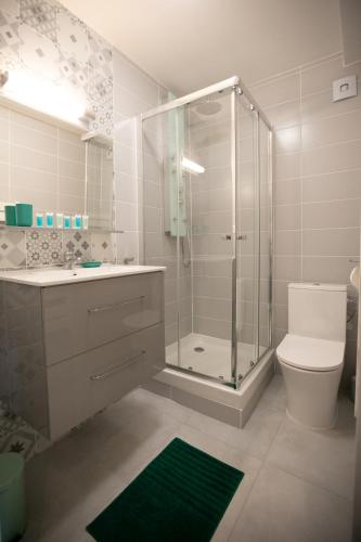 une salle de bain avec une douche, des toilettes et un lavabo dans l'établissement Appartement climatisé - Vert Nature - hyper-centre de Toulon, à Toulon