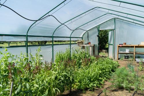 a greenhouse in a garden with plants at Challhuaquen Lodge in Trevelin