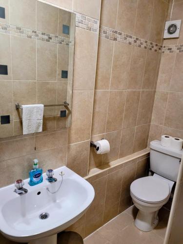 a bathroom with a toilet and a sink at Wheal Tor Hotel & Glamping in Liskeard