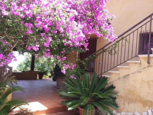a house with pink flowers hanging from a staircase at Villa Panorama in Zambrone