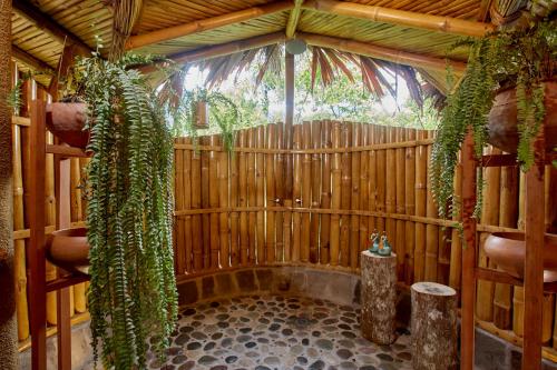 Gallery image of Bosque Guardian Lodge in Tarapoto