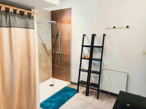 a bathroom with a shower with a blue rug at Les Jardins de La Palaire - Gîte T2 avec jardin in Cugand