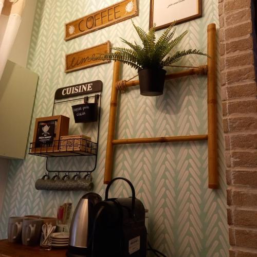 a plant in a pot hanging on a wall at Casa Fiorita 22 Porto Ceresio in Porto Ceresio