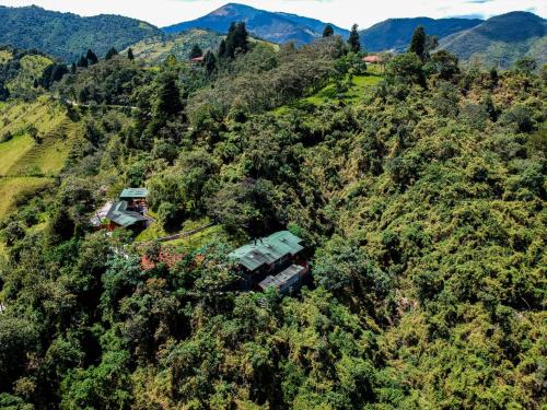 Vue aérienne d'une maison sur une colline arborée dans l'établissement Finca Petrona, à Mindo