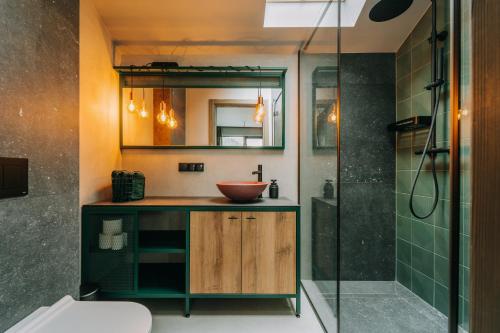 W łazience znajduje się umywalka i przeszklony prysznic. w obiekcie Apartamenty Riders Lodge Szczyrk Kalinowa w Szczyrku