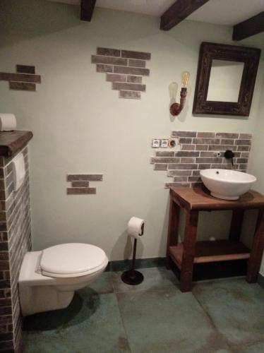 a bathroom with a white toilet and a sink at B&B Wood, Food & More in Alphen