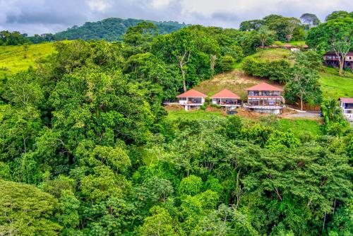 an aerial view of a resort in the middle of a forest at Akua Suites Ocean View in Tarcoles