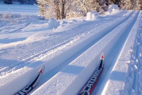 a pair of skis are in the snow at Stuga Sälen Kläppen 5 bäddar uthyres veckovis Söndag - Söndag in Sälen