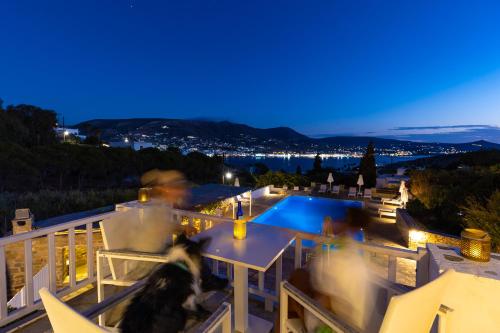 a dog standing on a balcony at night at Akrotiri Hotel in Parikia