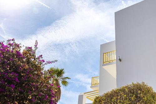 a white building with purple flowers and a palm tree at Akrotiri Hotel in Parikia