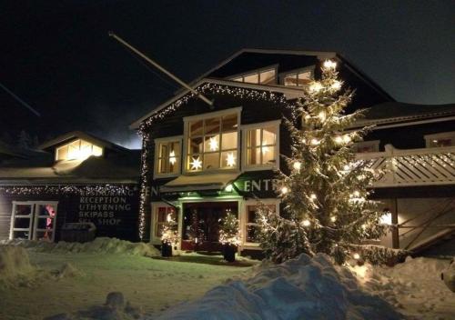 a christmas tree in front of a store at night at Stuga Sälen Kläppen 5 bäddar uthyres veckovis Söndag - Söndag in Sälen