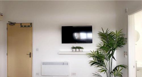 a flat screen tv on a wall with a plant at CityNights Studios with Free Parking in Liverpool