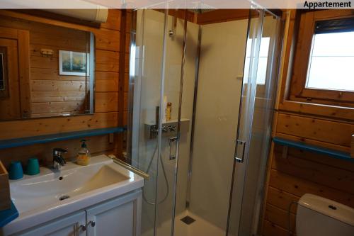 La salle de bains est pourvue d'un lavabo et d'une douche. dans l'établissement La petite source, à Florenville
